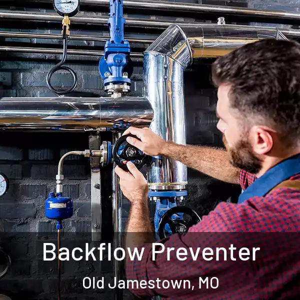 Backflow Preventer Old Jamestown, MO