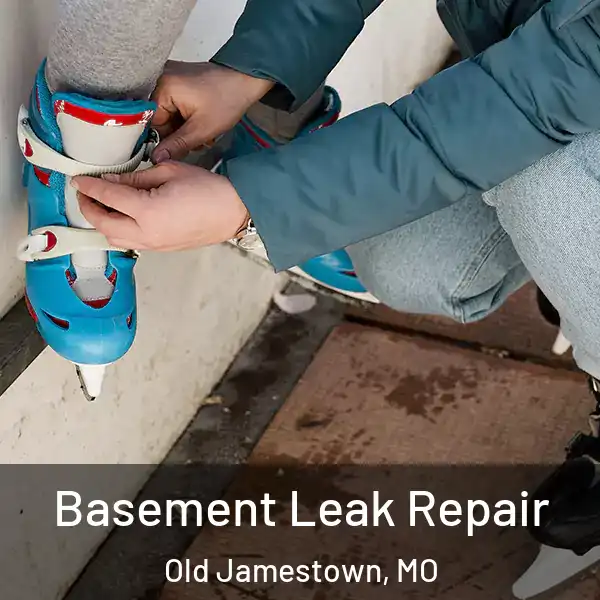  Basement Leak Repair Old Jamestown, MO