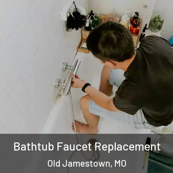  Bathtub Faucet Replacement Old Jamestown, MO