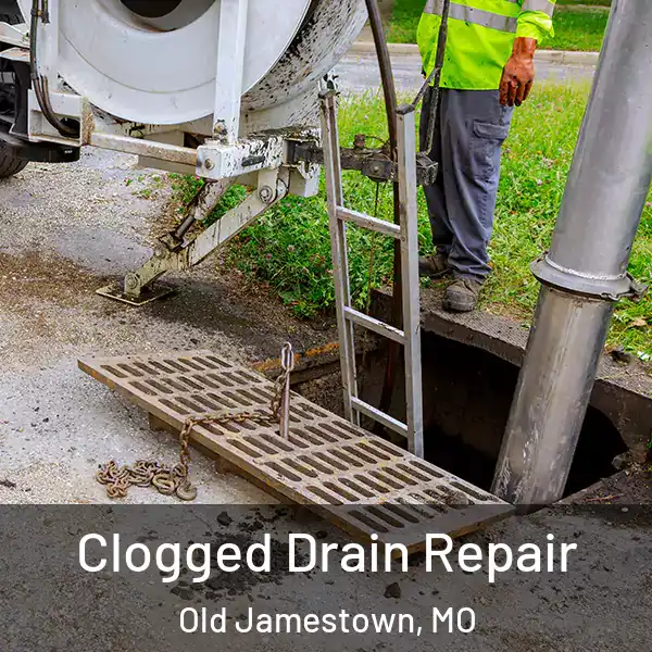  Clogged Drain Repair Old Jamestown, MO