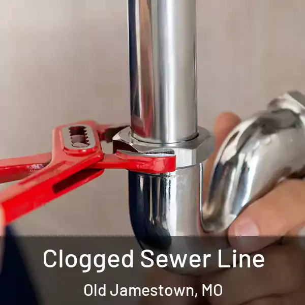  Clogged Sewer Line Old Jamestown, MO