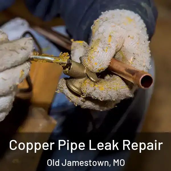  Copper Pipe Leak Repair Old Jamestown, MO