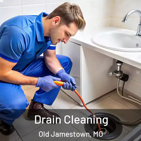  Drain Cleaning Old Jamestown, MO