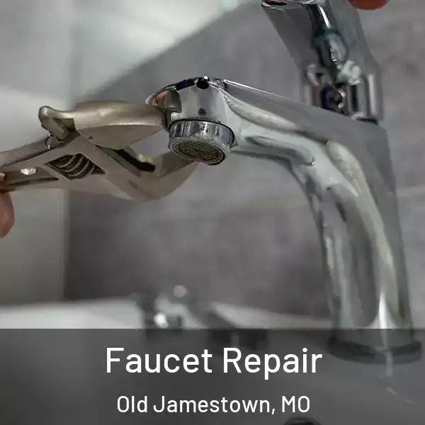  Faucet Repair Old Jamestown, MO