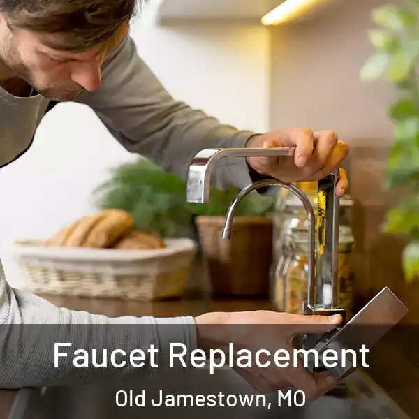  Faucet Replacement Old Jamestown, MO