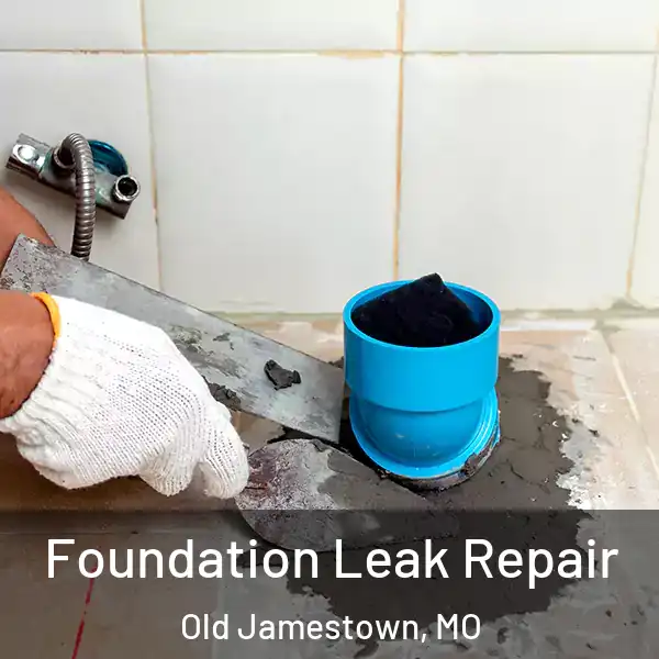  Foundation Leak Repair Old Jamestown, MO
