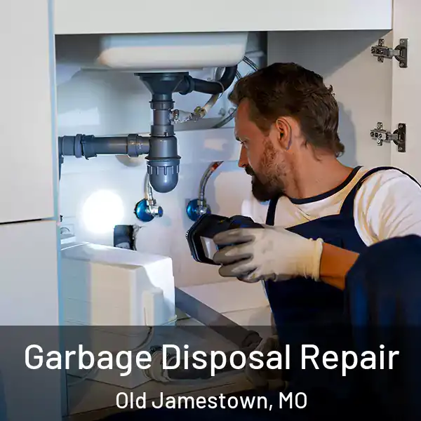  Garbage Disposal Repair Old Jamestown, MO
