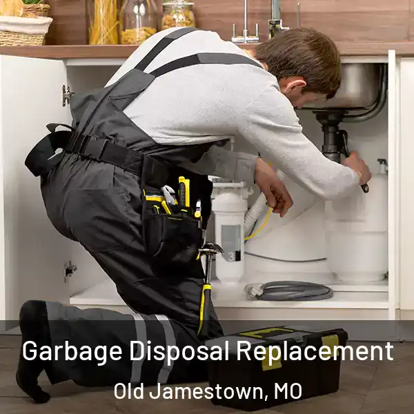  Garbage Disposal Replacement Old Jamestown, MO