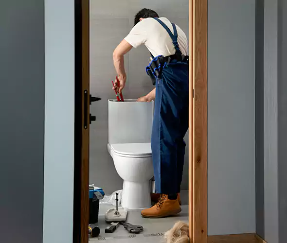 Professional Plumbers for Toilet Bowl Replacement in Old Jamestown, MO: Schedule Affordable Toilet Replacement Services With Us