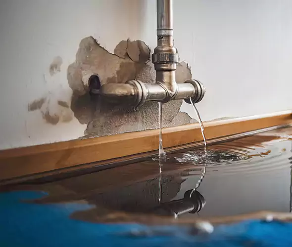 Professional Water Damage Restoration Experts in Old Jamestown, MO — Fast, Reliable & Certified