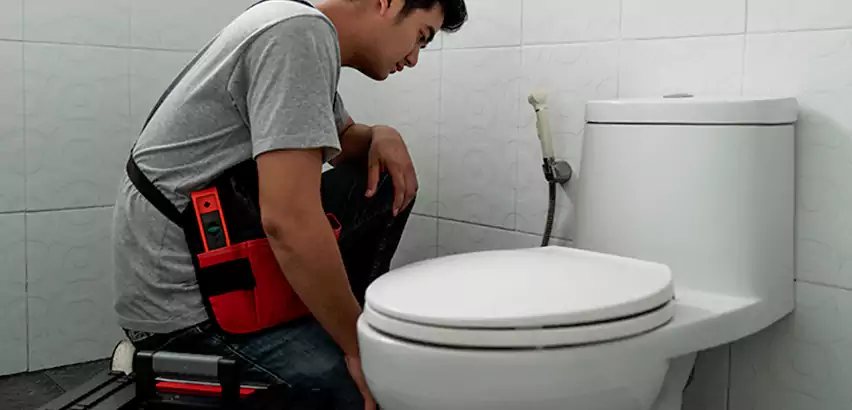 Toilet Repair in Old Jamestown