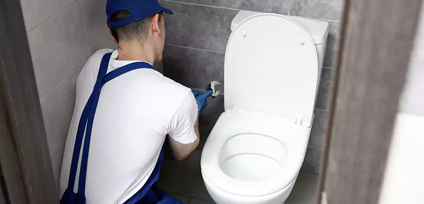 Toilet Lid Replacement in Old Jamestown