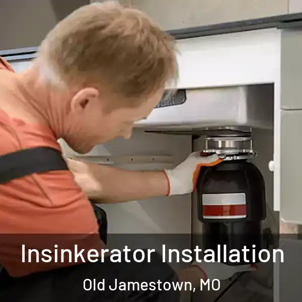  Insinkerator Installation Old Jamestown, MO