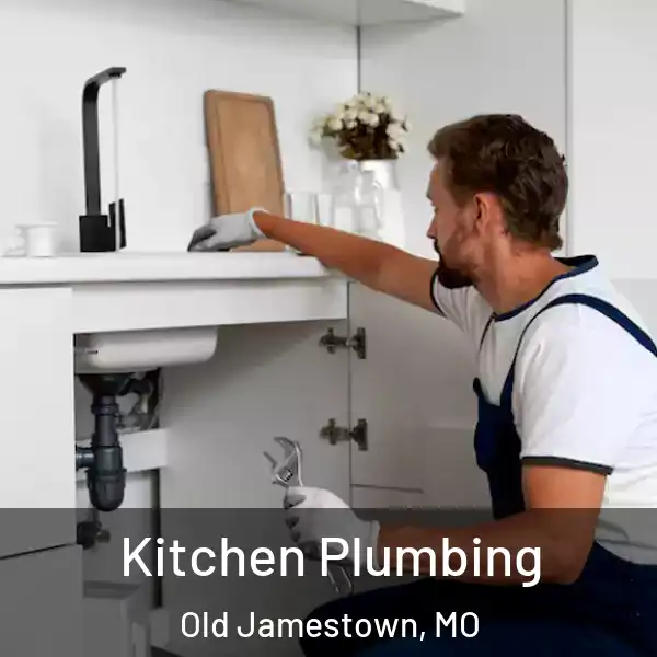  Kitchen Plumbing Old Jamestown, MO