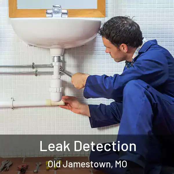  Leak Detection Old Jamestown, MO