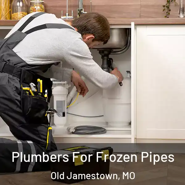  Plumbers For Frozen Pipes Old Jamestown, MO