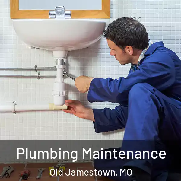  Plumbing Maintenance Old Jamestown, MO