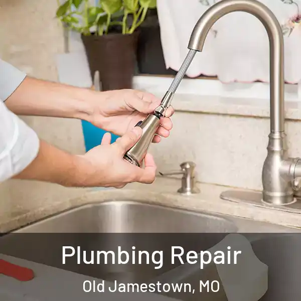  Plumbing Repair Old Jamestown, MO