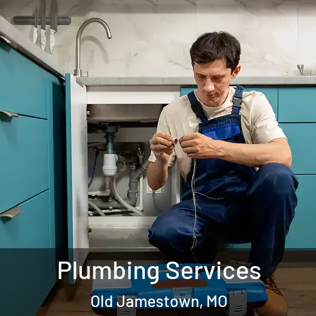 Plumbing Services Old Jamestown, MO