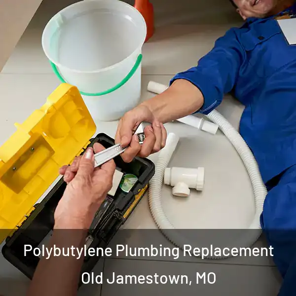  Polybutylene Plumbing Replacement Old Jamestown, MO