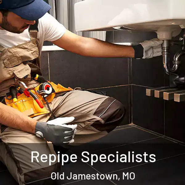  Repipe Specialists Old Jamestown, MO