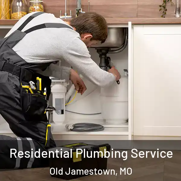  Residential Plumbing Service Old Jamestown, MO