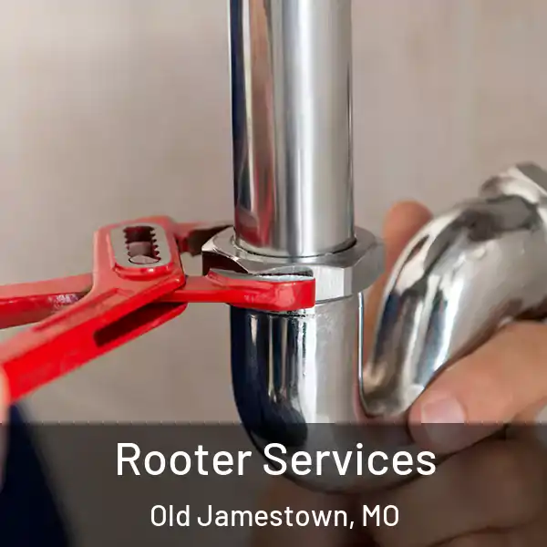  Rooter Services Old Jamestown, MO
