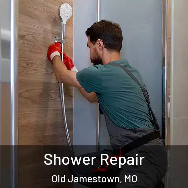 Shower Repair Old Jamestown, MO