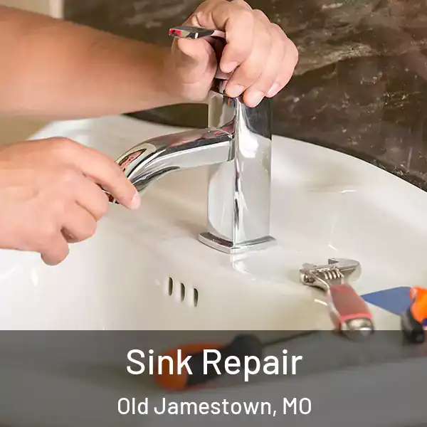  Sink Repair Old Jamestown, MO