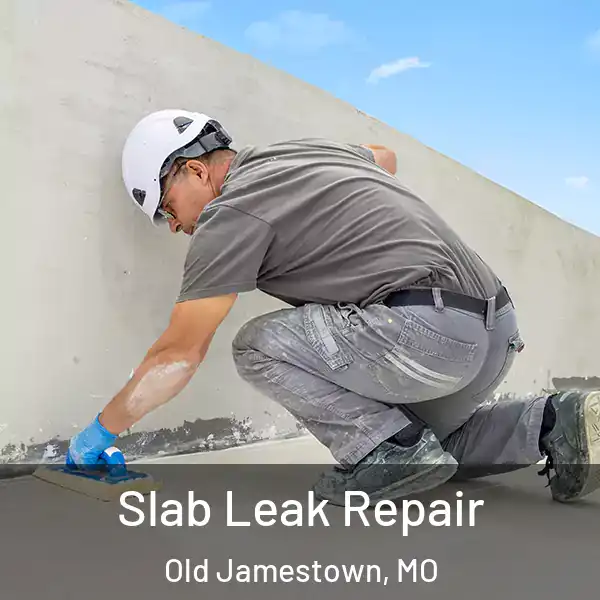  Slab Leak Repair Old Jamestown, MO