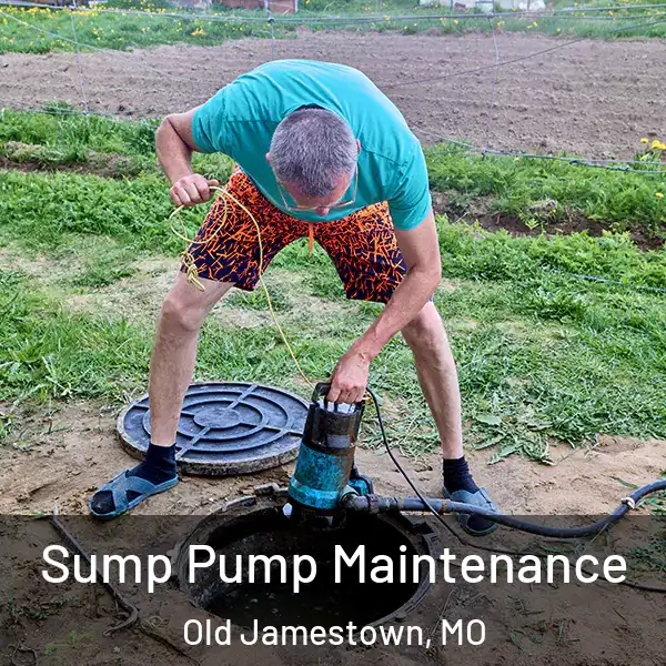  Sump Pump Maintenance Old Jamestown, MO