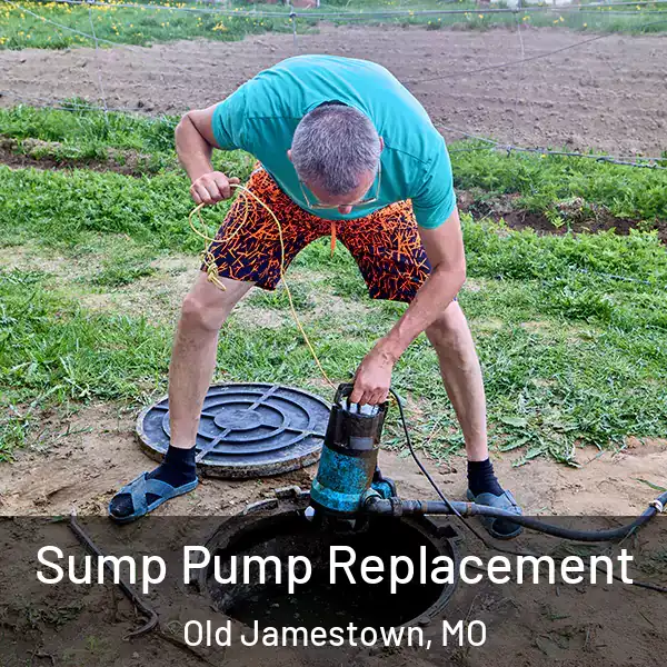  Sump Pump Replacement Old Jamestown, MO