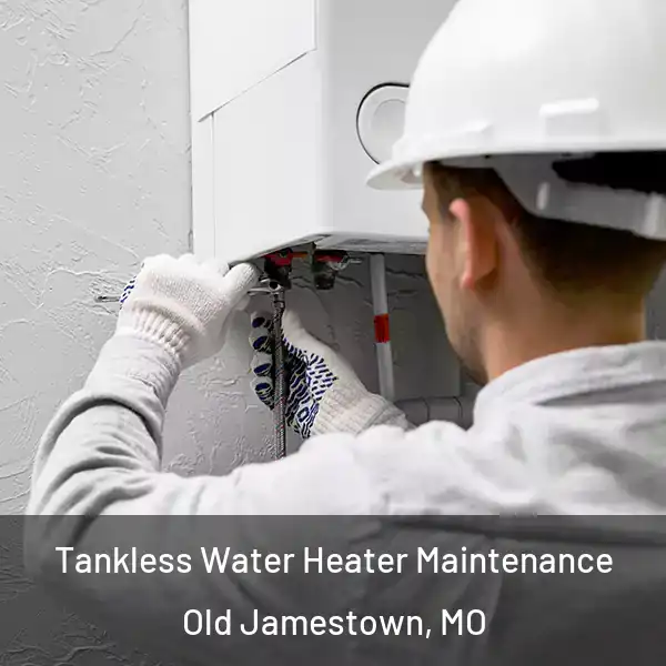  Tankless Water Heater Maintenance Old Jamestown, MO