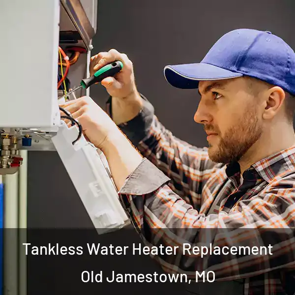  Tankless Water Heater Replacement Old Jamestown, MO