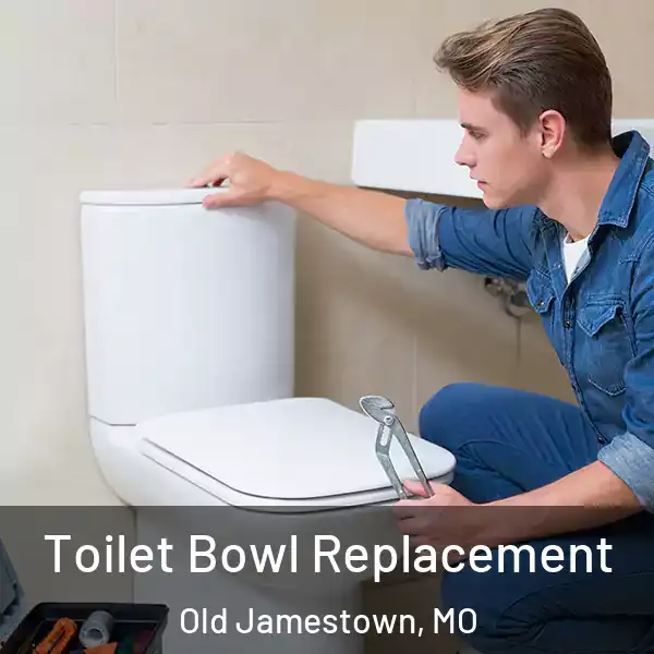  Toilet Bowl Replacement Old Jamestown, MO