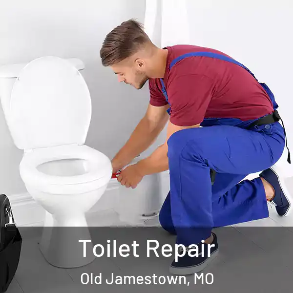  Toilet Repair Old Jamestown, MO