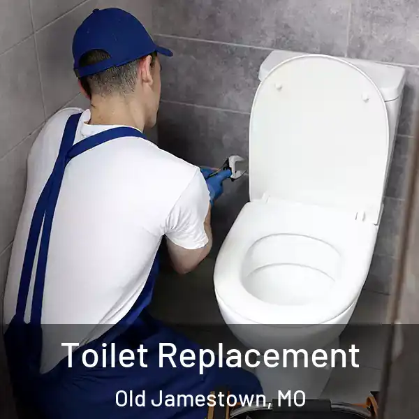  Toilet Replacement Old Jamestown, MO