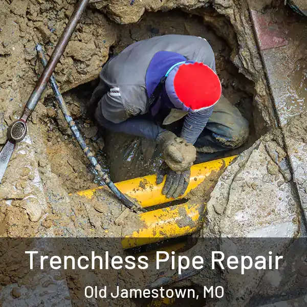  Trenchless Pipe Repair Old Jamestown, MO