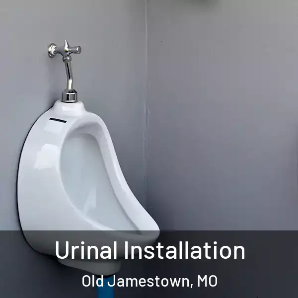  Urinal Installation Old Jamestown, MO