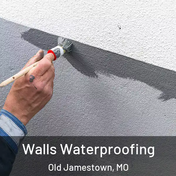  Walls Waterproofing Old Jamestown, MO