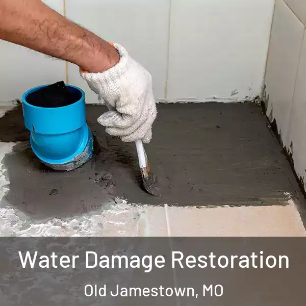  Water Damage Restoration Old Jamestown, MO
