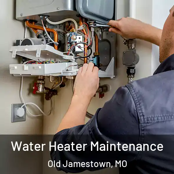  Water Heater Maintenance Old Jamestown, MO