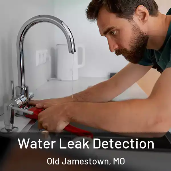  Water Leak Detection Old Jamestown, MO