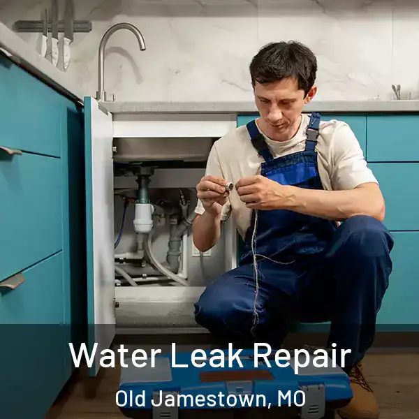  Water Leak Repair Old Jamestown, MO