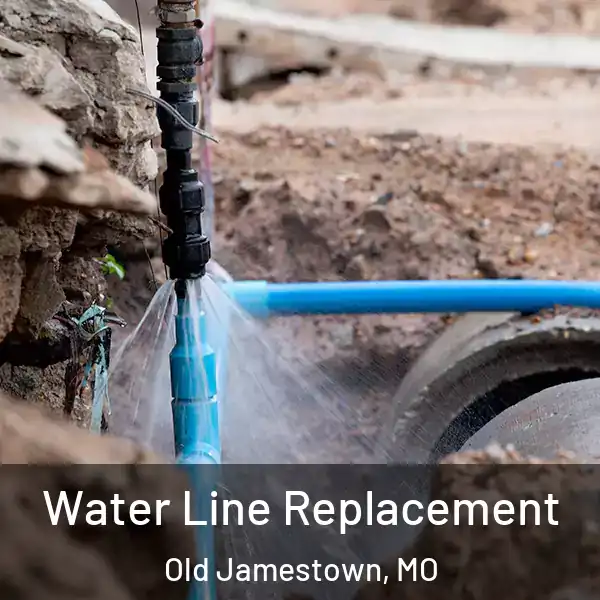  Water Line Replacement Old Jamestown, MO