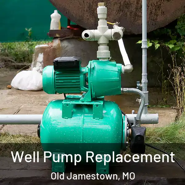  Well Pump Replacement Old Jamestown, MO